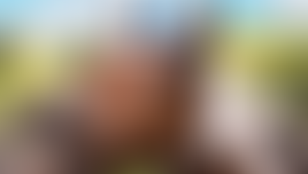 Enskede Ridskola 80 år!