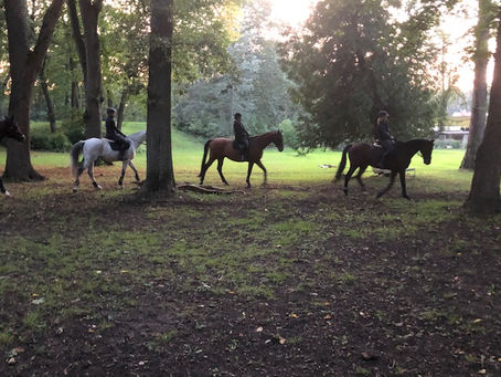 Ska du inte fortsätta rida HT-21?