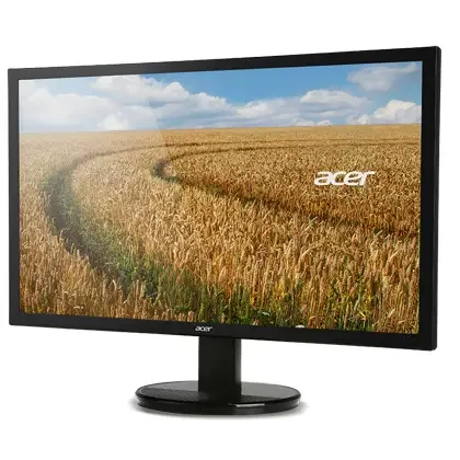 Acer 19.5