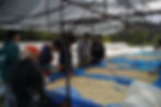 guests and farmers looking at a raised drying bed with coffee