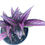 Thumbnail: Persian Shield - 1 Gallon