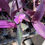 Thumbnail: Setcreasea (Purple Heart) - 3.5" Pack of 3 Plants