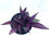 Thumbnail: Persian Shield - 1 Gallon
