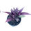 Thumbnail: Persian Shield - 1 Gallon