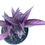 Thumbnail: Persian Shield - 1 Gallon