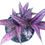 Thumbnail: Persian Shield - 1 Gallon