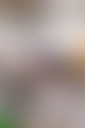 生命システム工学実験2・2回目