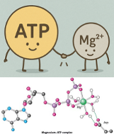 2025年度生化学川柳第十五週目優秀川柳賞/2025Biochemistry Haiku prize week15