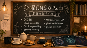 金曜CNSカフェ:本日のおすすめメニュー