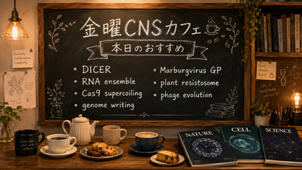 金曜CNSカフェ：本日のおすすめメニュー