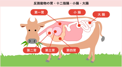 2024年度生化学川柳第十五週目優秀川柳