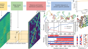 2025年度バイオインフォマティクス川柳・第四週目優秀作品