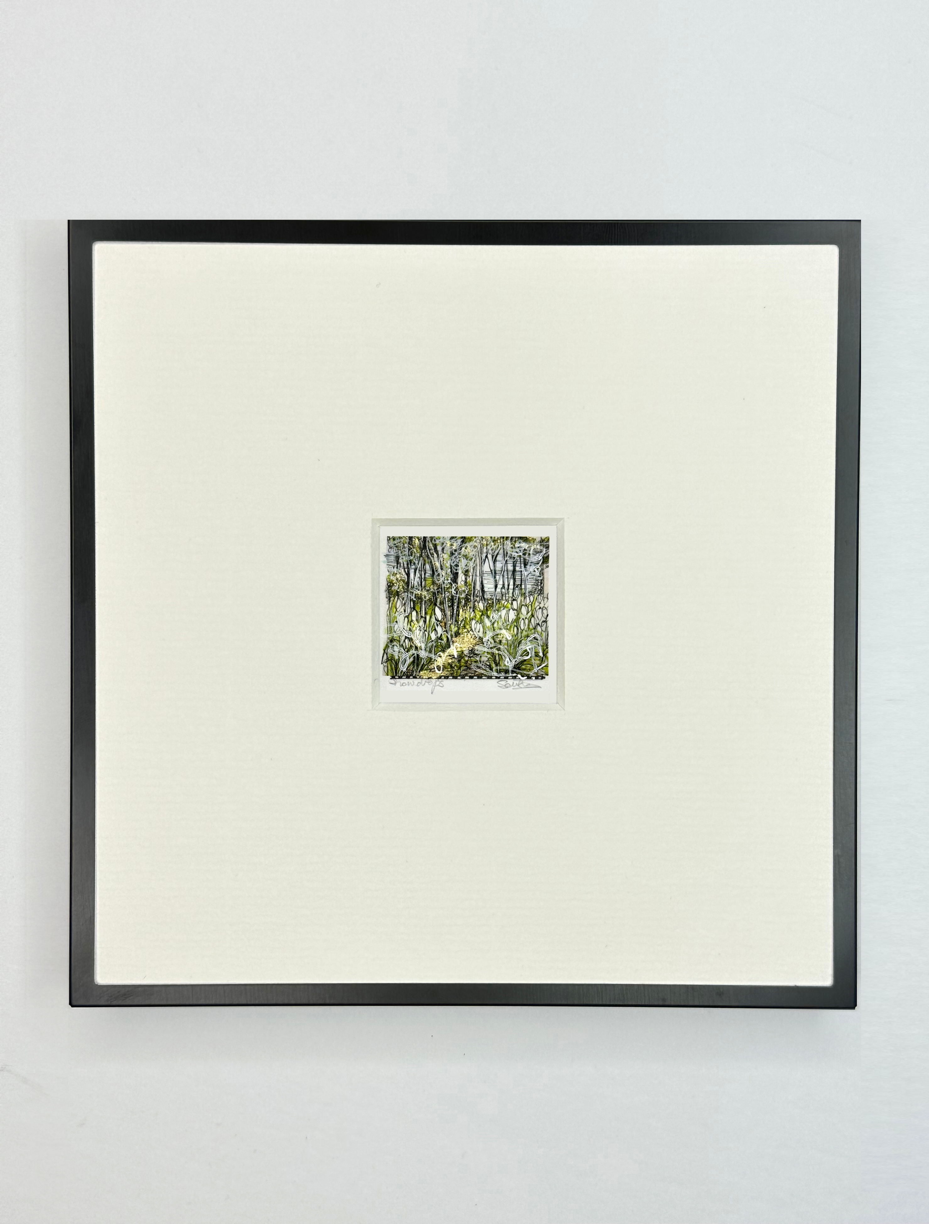 Snowdrops at Wimpole | Fine Art Micro Print