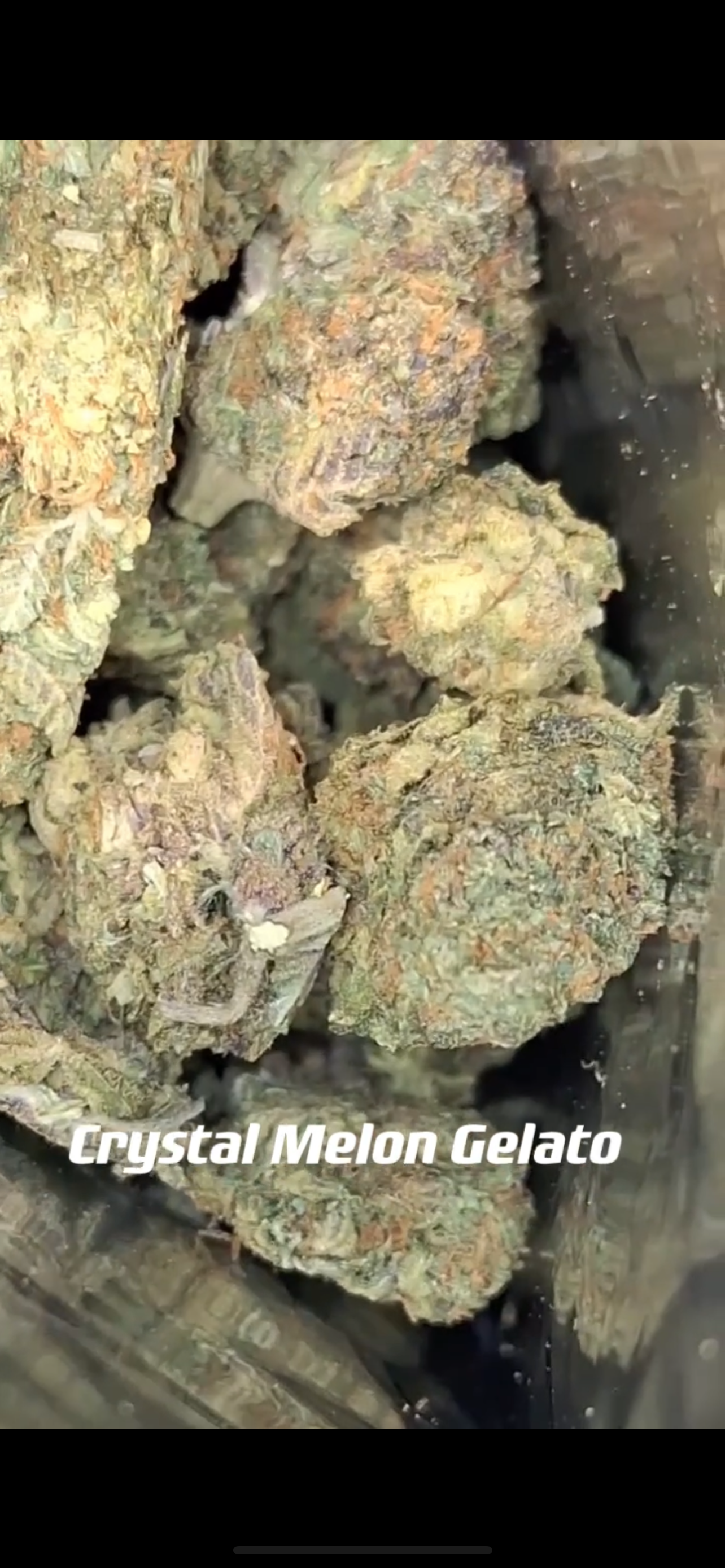 Crystal Melon Gelato