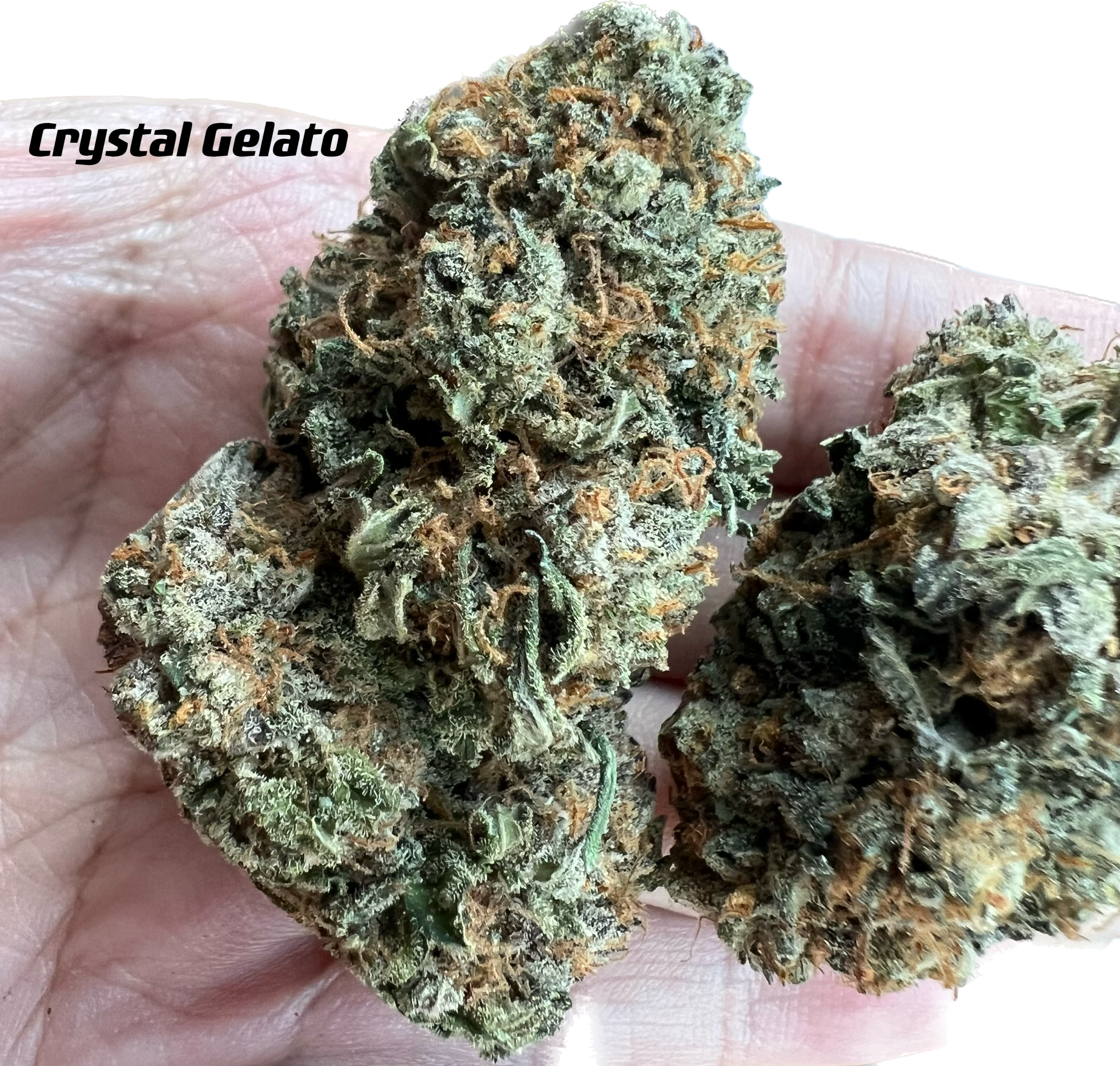 Crystal Gelato