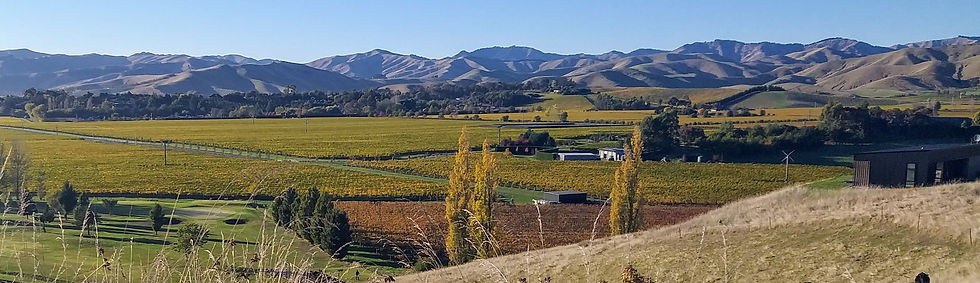 Sunrise over the Omaka Valley Marlborough