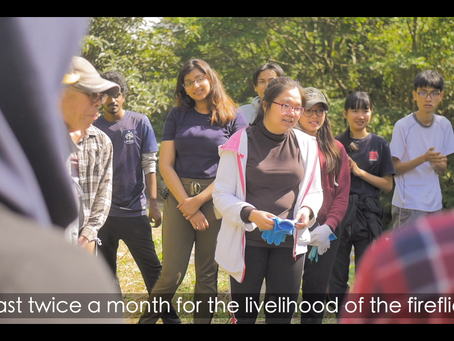 Generational cooperation for firefly protection in Japan
