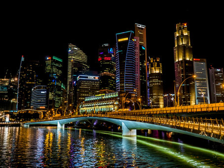 Sustainability in Singapore Business Incorporation: Is Singapore Doing Enough in the Sustainability Fight and What New Businesses Should Know
