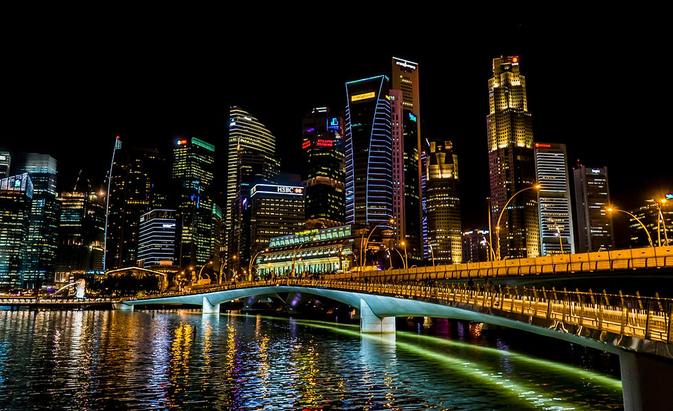 Sustainability in Singapore Business Incorporation: Is Singapore Doing Enough in the Sustainability Fight and What New Businesses Should Know