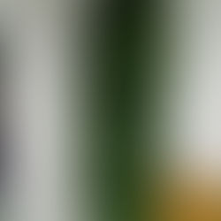 Jardim Vertical - Escritório Comercial