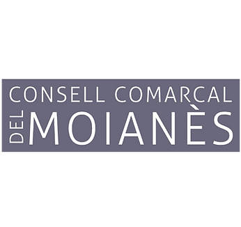 Consell comarcal.png