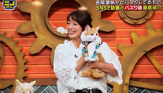 犬よりの猫、諭吉