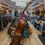 Thumbnail: Framus Double Bass Concert Model (Anton Seifert) Model 90408