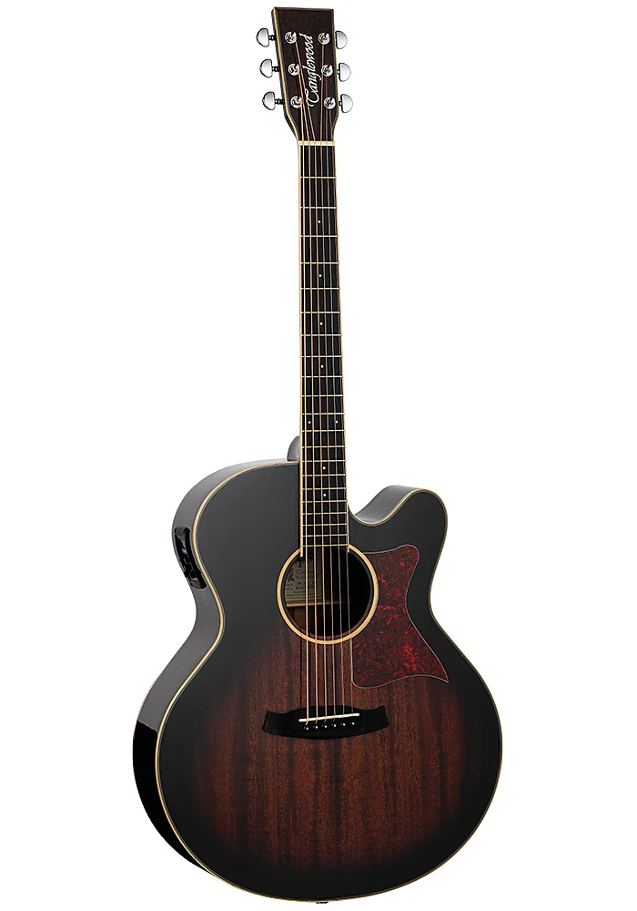 Tanglewood tw4 sale