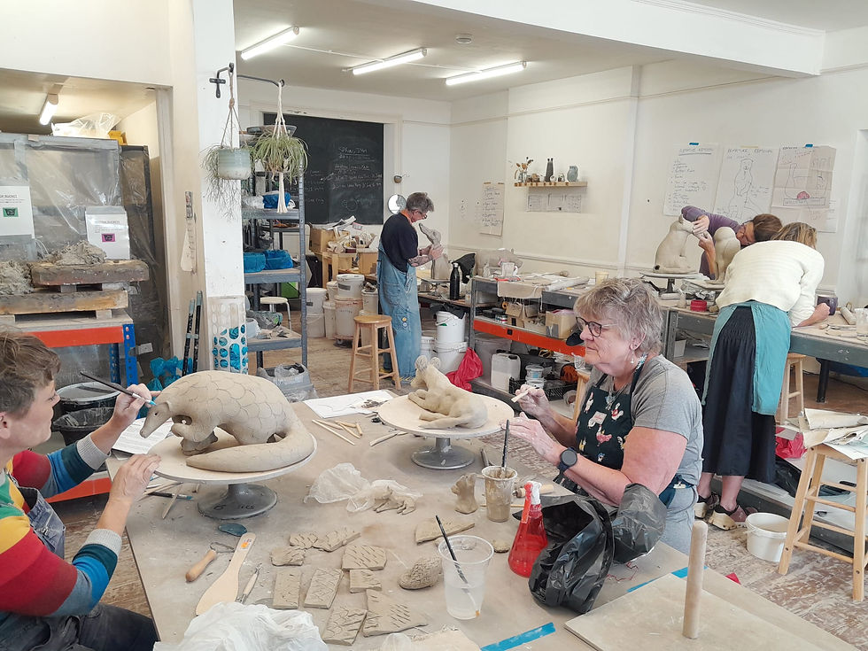 St Leonards Ceramic Studio 2025