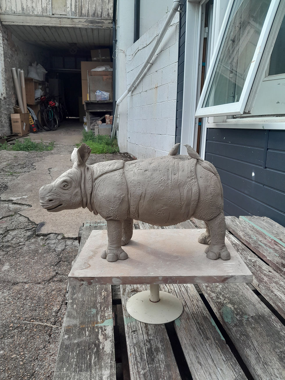 Indian Rhino Calf, Tutor Exemplar Piece