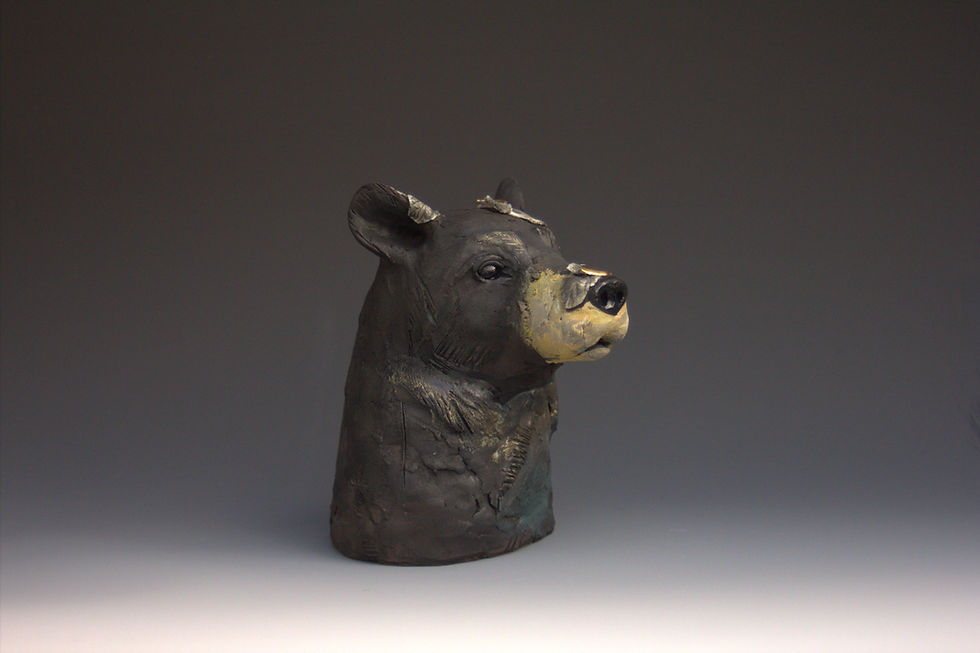 Thumbnail: American Black Bear, Leaves Caught in the Wind