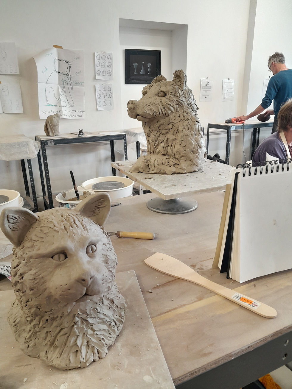 St Leonards Animal Portraiture Workshop 2024