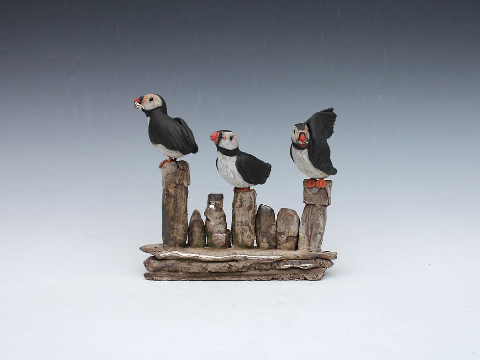 Padstow Puffins