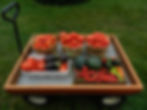DSCN0006.JPG