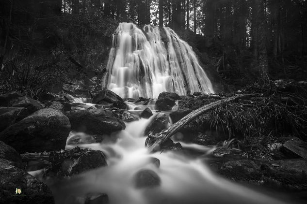 Cascade de la Pissoire - Haut du Tôt - Vosges