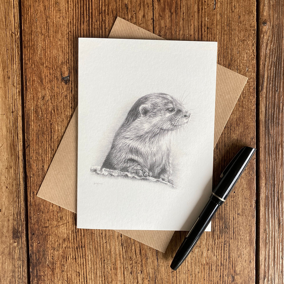 Thumbnail: Pencil drawing of an otter on a greeting card.