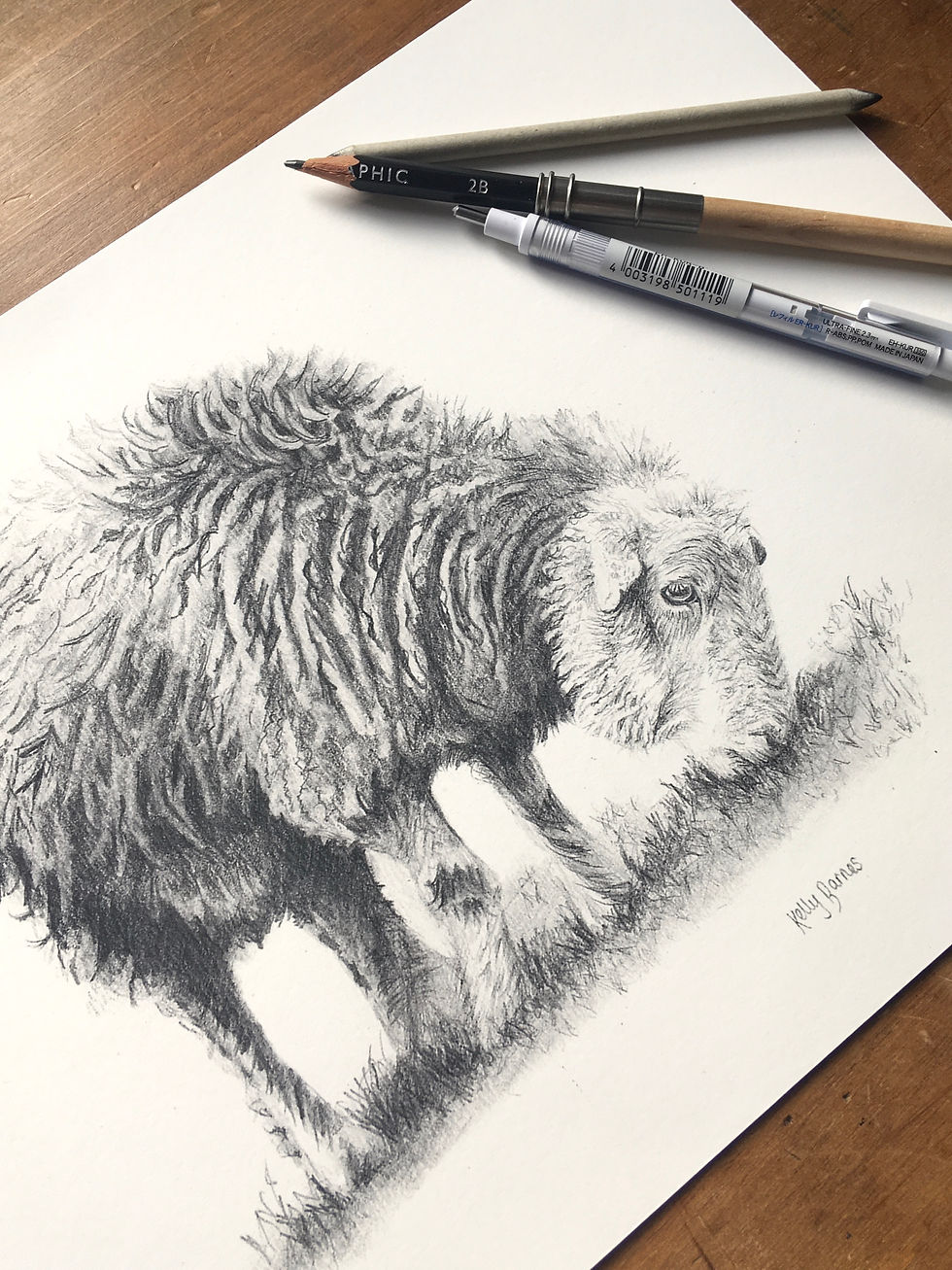 Thumbnail: Herdwick Sheep Pencil Drawing | Digital Download