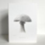 Pencil drawing of a toadstool on a greeting card.