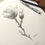 Thumbnail: Magnolia Hand-Drawn Sketch | Framed Miniature | Pencil Artist