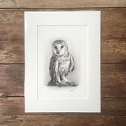 Mounted print of barn owl pencil drawing with 5 star review
