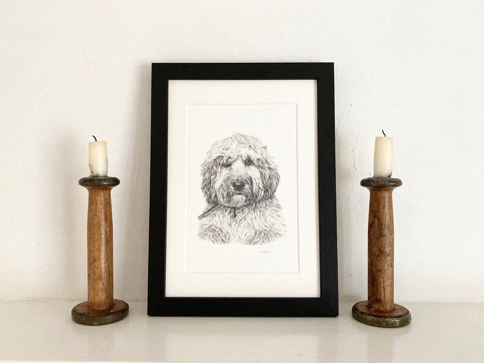 Thumbnail: Framed and mounted print of a pencil drawing of a cockapoo dog.