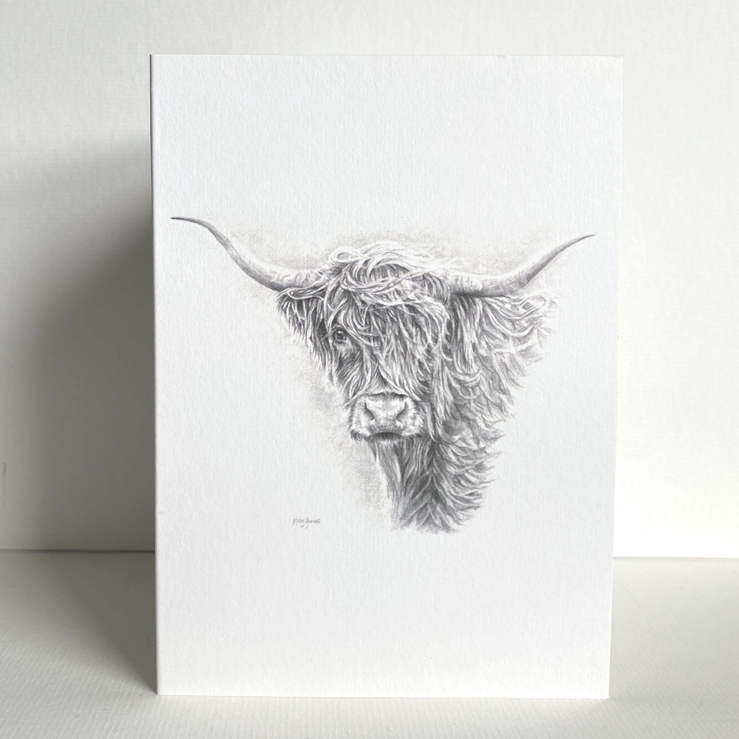 Pencil drawing of a highland cow on a greeting card.