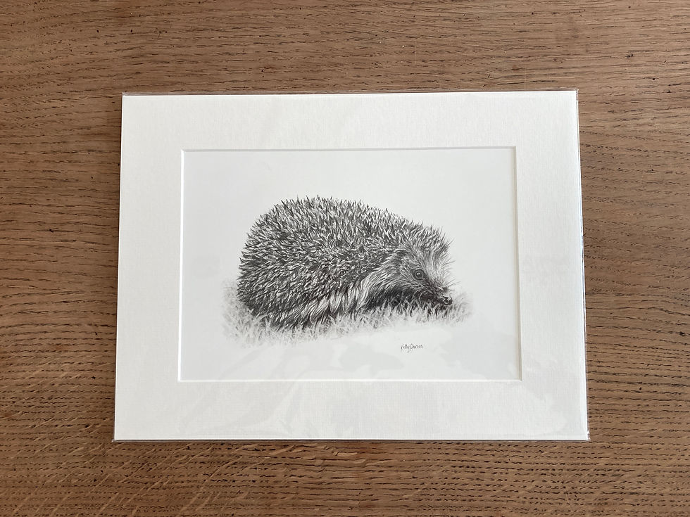 Thumbnail: Mounted print of a pencil drawing of a hedgehog.