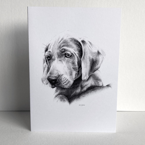 Weimaraner Greeting Card Dog Pencil Drawing UK Artist