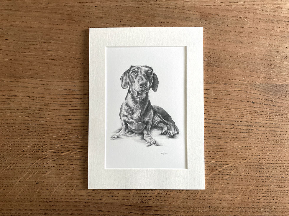 Thumbnail: Mounted print of a pencil drawing of a Dachshund dog.