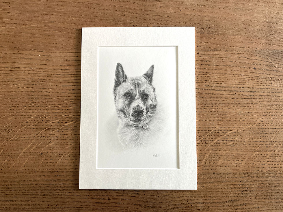 Thumbnail: Mounted print of a pencil drawing of an Akita dog.
