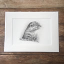 Pencil drawing of otter with 5 star review
