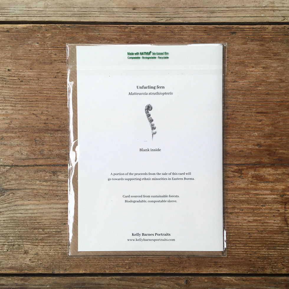 Thumbnail: Reverse image of pencil drawing of unfurling fern on a greeting card.