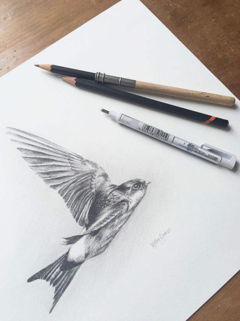 Thumbnail: Pencil drawing of a house martin bird in flight with pencils.