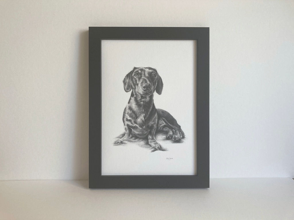 Dachshund Hand-Drawn Sketch | Framed Miniature | Pencil Artist
